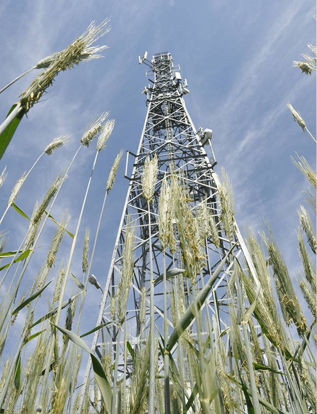 California Partnership for the San Joaquin Valley