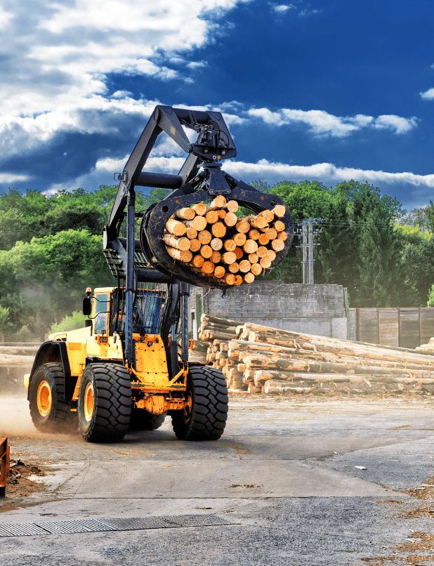 Indian Valley Wood Utilization Campus