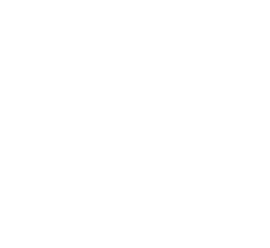 briefcase icon
