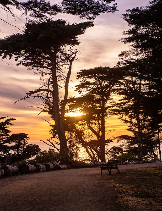 Together Bay Area Coalition